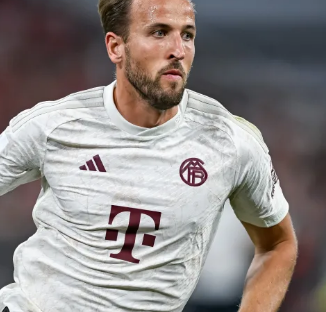 整个足坛都 整个足坛都