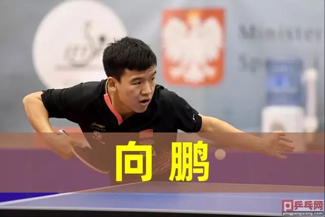 单次收益 单次收益